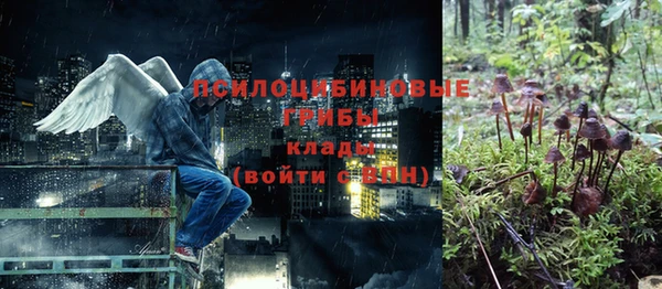 дурь Арсеньев