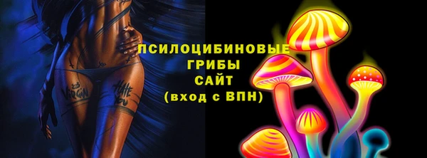 дурь Арсеньев