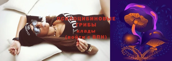 дурь Арсеньев